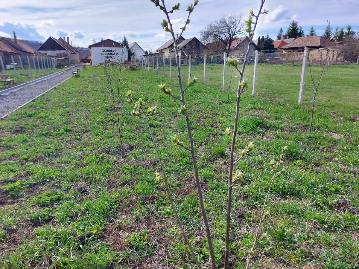 Ferienwohnung Zsindely Haz Karolyfalva Sátoraljaújhely Exterior foto